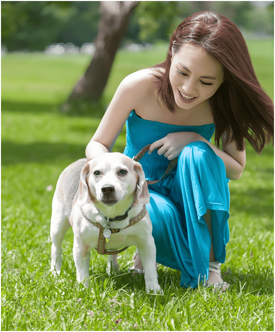 链分析：现状、痛点、需求、趋势不朽情缘游戏宠物食品行业产业