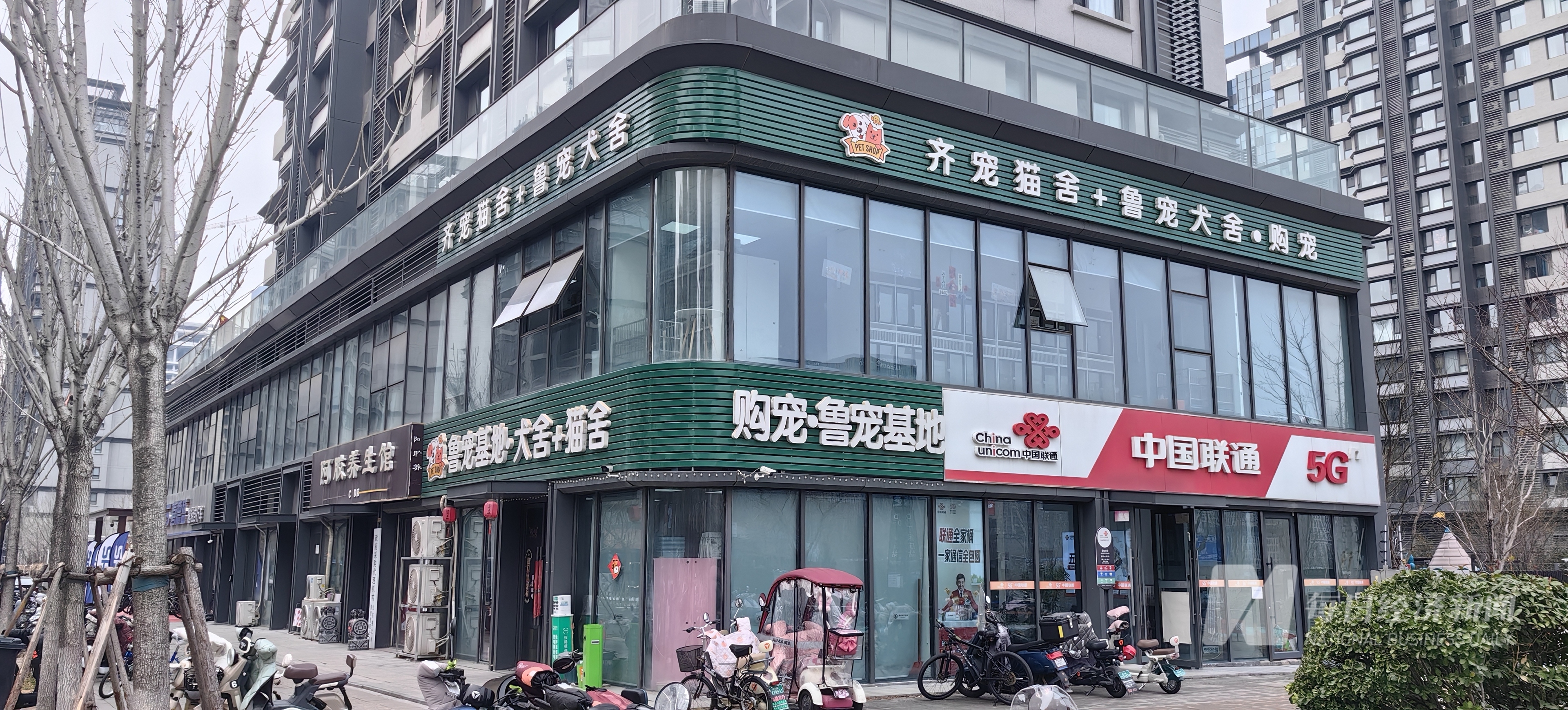 也加中药宠物从“吃饱”转型“吃好” 国产品牌崛起驱动万亿元市场不朽情缘游戏手机版