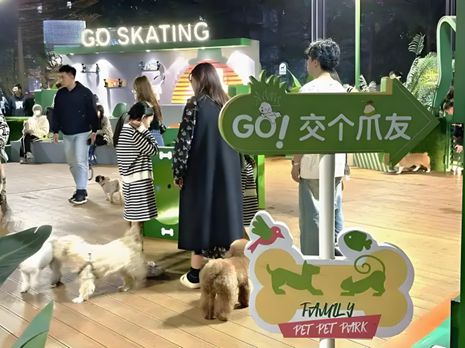 鲜生丨宠物坐高铁侯毅下厨房不朽情缘正规网站实探派特(图2)