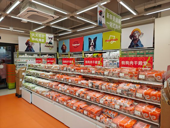 鲜生丨宠物坐高铁侯毅下厨房不朽情缘正规网站实探派特(图3)
