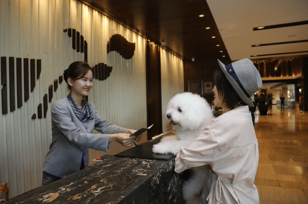 产业交易平台诚邀共赴萌宠经济新蓝海MG不朽情缘帅克宠物：一站式宠物(图3)
