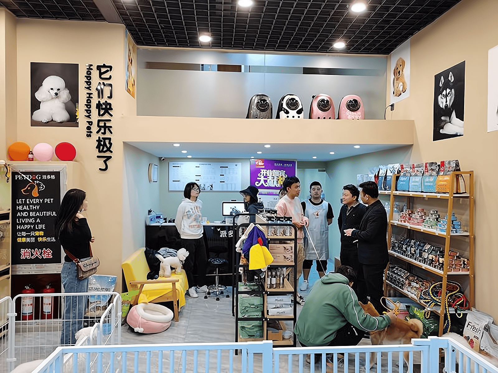 产业交易平台诚邀共赴萌宠经济新蓝海MG不朽情缘帅克宠物：一站式宠物(图4)