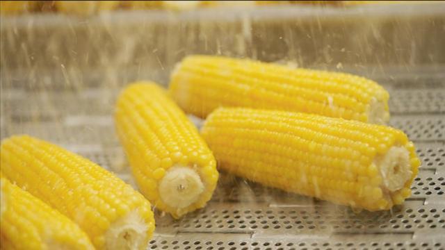 款产品打造跨界“新食尚”不朽情缘十月稻田IP联名(图2)