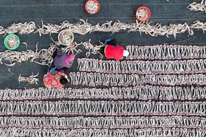 日海产品晾晒忙不朽情缘版冬(图3) 日海产品晾晒忙不朽情缘版冬(图3)