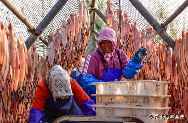 大姐靠日光晒鱼手艺3 个月赚出全年一半收