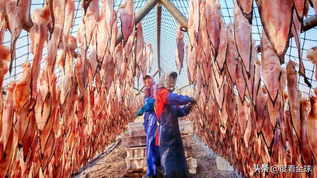 大姐靠日光晒鱼手艺3 个月赚出全年一半收入mg不朽情缘游戏网站登录不用添加剂！日照(图3)