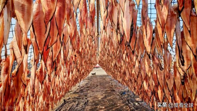 大姐靠日光晒鱼手艺3 个月赚出全年一半收入mg不朽情缘游戏网站登录不用添加剂！日照(图2)