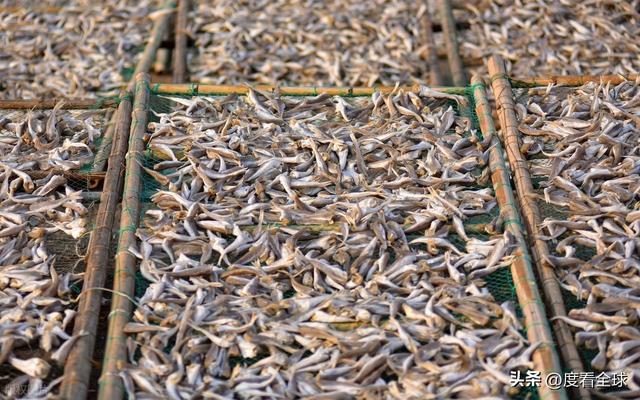 大姐靠日光晒鱼手艺3 个月赚出全年一半收入mg不朽情缘游戏网站登录不用添加剂！日照(图6)