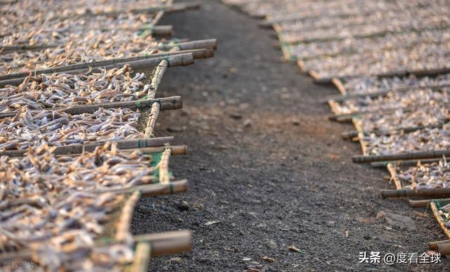 大姐靠日光晒鱼手艺3 个月赚出全年一半收入mg不朽情缘游戏网站登录不用添加剂！日照(图8)