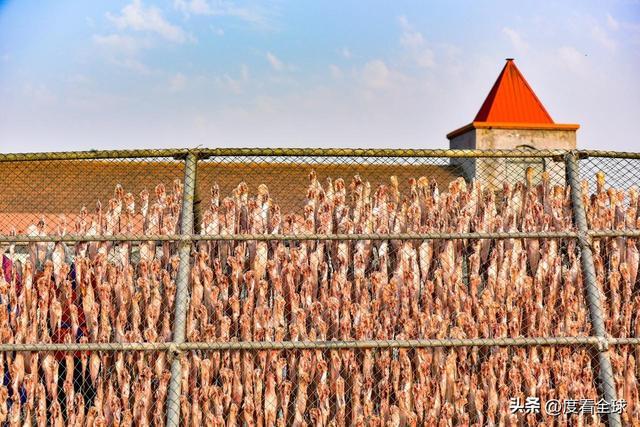 大姐靠日光晒鱼手艺3 个月赚出全年一半收入mg不朽情缘游戏网站登录不用添加剂！日照(图9)