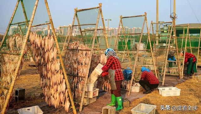 大姐靠日光晒鱼手艺3 个月赚出全年一半收入mg不朽情缘游戏网站登录不用添加剂！日照(图5)