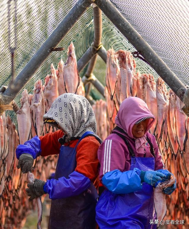 大姐靠日光晒鱼手艺3 个月赚出全年一半收入mg不朽情缘游戏网站登录不用添加剂！日照(图7)