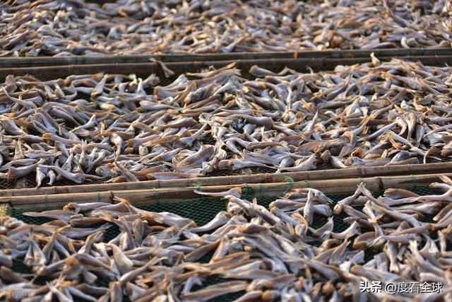 大姐靠日光晒鱼手艺3 个月赚出全年一半收入mg不朽情缘游戏网站登录不用添加剂！日照(图10)