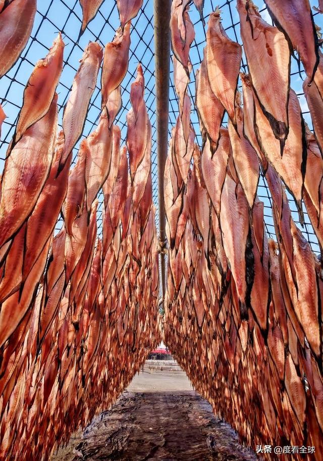 大姐靠日光晒鱼手艺3 个月赚出全年一半收入mg不朽情缘游戏网站登录不用添加剂！日照(图11)