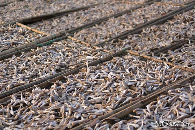 大姐靠日光晒鱼手艺3 个月赚出全年一半收入mg不朽情缘游戏网站登录不用添加剂！日照(图12)