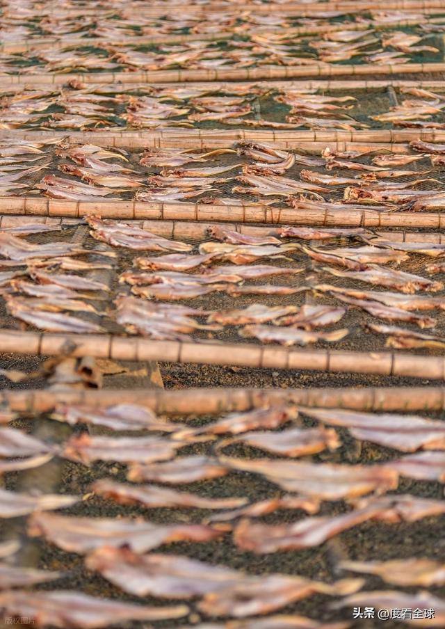 大姐靠日光晒鱼手艺3 个月赚出全年一半收入mg不朽情缘游戏网站登录不用添加剂！日照(图16)