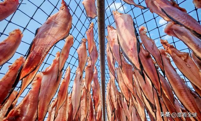 大姐靠日光晒鱼手艺3 个月赚出全年一半收入mg不朽情缘游戏网站登录不用添加剂！日照(图15)