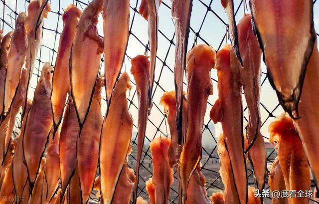 大姐靠日光晒鱼手艺3 个月赚出全年一半收入mg不朽情缘游戏网站登录不用添加剂！日照(图14)