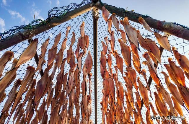 大姐靠日光晒鱼手艺3 个月赚出全年一半收入mg不朽情缘游戏网站登录不用添加剂！日照(图13)