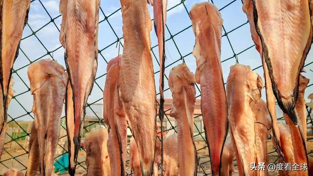 大姐靠日光晒鱼手艺3 个月赚出全年一半收入mg不朽情缘游戏网站登录不用添加剂！日照(图22)