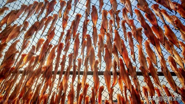 大姐靠日光晒鱼手艺3 个月赚出全年一半收入mg不朽情缘游戏网站登录不用添加剂！日照(图17)