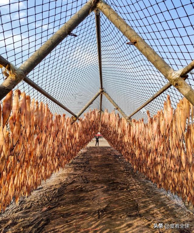 大姐靠日光晒鱼手艺3 个月赚出全年一半收入mg不朽情缘游戏网站登录不用添加剂！日照(图19)