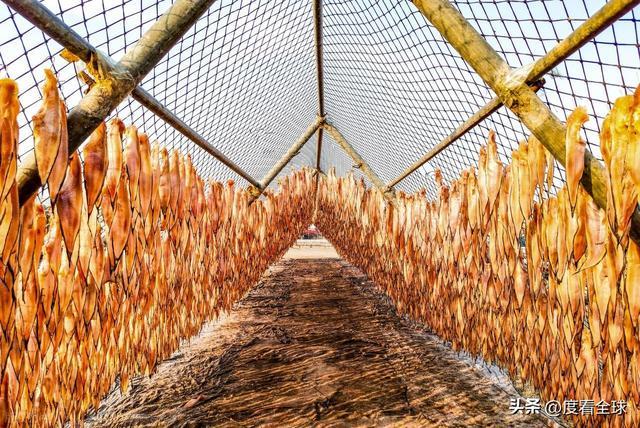 大姐靠日光晒鱼手艺3 个月赚出全年一半收入mg不朽情缘游戏网站登录不用添加剂！日照(图21)