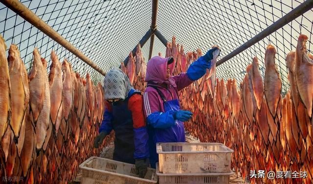 大姐靠日光晒鱼手艺3 个月赚出全年一半收入mg不朽情缘游戏网站登录不用添加剂！日照(图18)