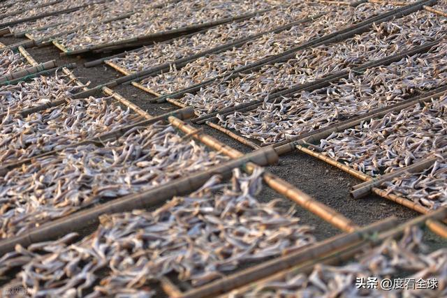 大姐靠日光晒鱼手艺3 个月赚出全年一半收入mg不朽情缘游戏网站登录不用添加剂！日照(图25)