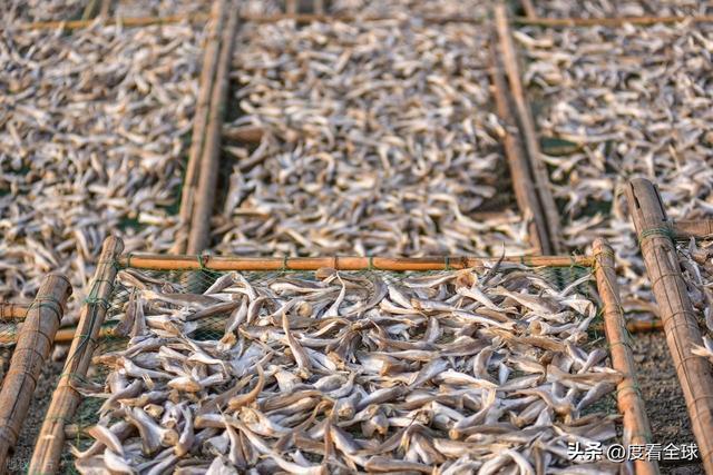 大姐靠日光晒鱼手艺3 个月赚出全年一半收入mg不朽情缘游戏网站登录不用添加剂！日照(图24)