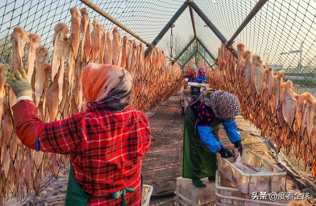 大姐靠日光晒鱼手艺3 个月赚出全年一半收入mg不朽情缘游戏网站登录不用添加剂！日照(图27)