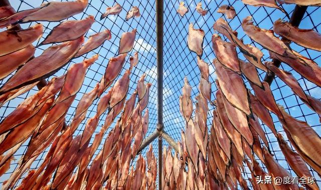 大姐靠日光晒鱼手艺3 个月赚出全年一半收入mg不朽情缘游戏网站登录不用添加剂！日照(图29)