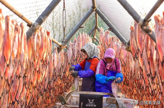 大姐靠日光晒鱼手艺3 个月赚出全年一半收入mg不朽情缘游戏网站登录不用添加剂！日照(图28)