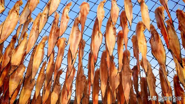 大姐靠日光晒鱼手艺3 个月赚出全年一半收入mg不朽情缘游戏网站登录不用添加剂！日照(图23)