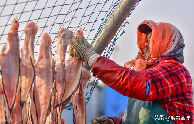 大姐靠日光晒鱼手艺3 个月赚出全年一半收入mg不朽情缘游戏网站登录不用添加剂！日照(图34)