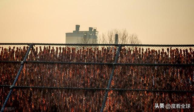 大姐靠日光晒鱼手艺3 个月赚出全年一半收入mg不朽情缘游戏网站登录不用添加剂！日照(图33)