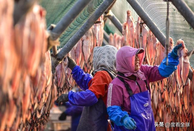 大姐靠日光晒鱼手艺3 个月赚出全年一半收入mg不朽情缘游戏网站登录不用添加剂！日照(图37)