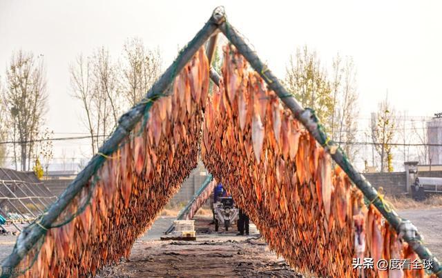 大姐靠日光晒鱼手艺3 个月赚出全年一半收入mg不朽情缘游戏网站登录不用添加剂！日照(图36)