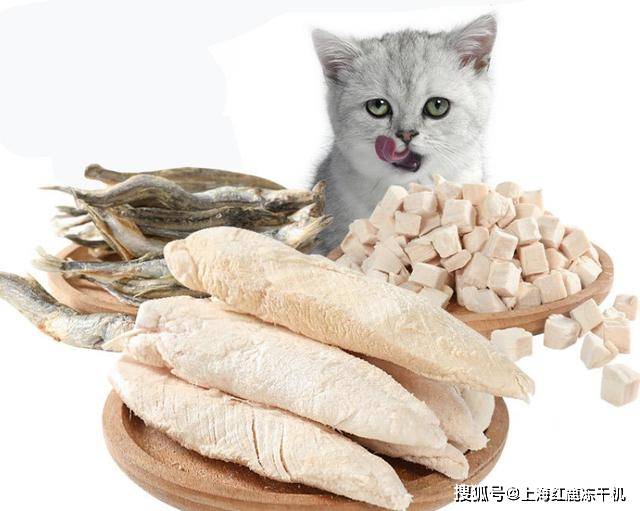 胸肉怎么做宠物食品冻干机不朽情缘登录自制冻干鸡