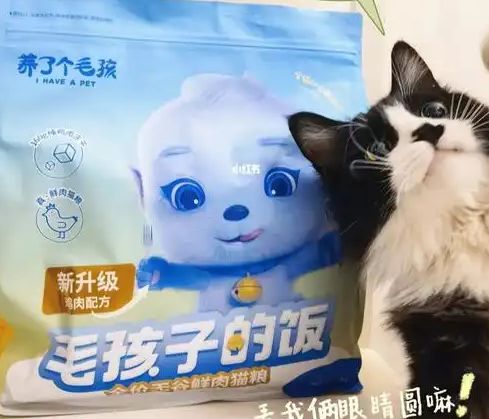 口粮！三只松鼠靠什么重返宠物食品赛道不朽情缘试玩网站零食巨头盯上毛孩子(图1)